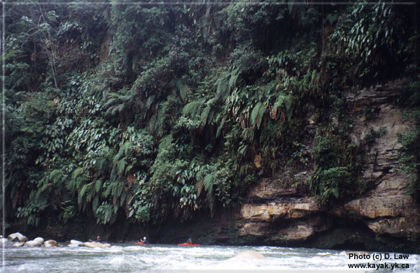 The group paddles beside a cliff on the Lower Mishualli