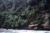 The group paddles beside a cliff